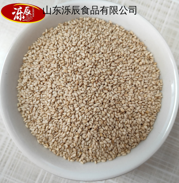山东泺辰食品有限公司