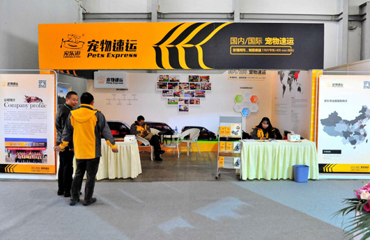 2025年国内宠物托运新趋势：宠乐游运输有限公司引领安全出行
